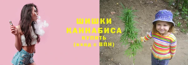 PSILOCYBIN Алзамай